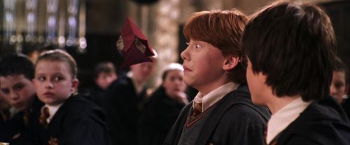 CS-Potterish_02384.jpg