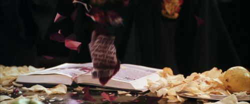 CS-Potterish_02400.jpg