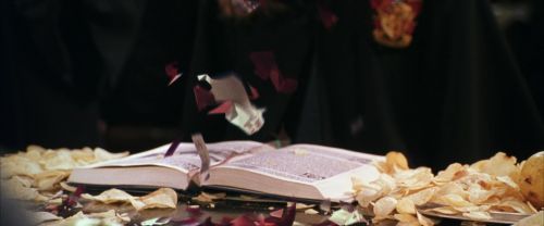 CS-Potterish_02401.jpg