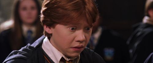 CS-Potterish_02406.jpg