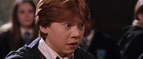 CS-Potterish_02408.jpg