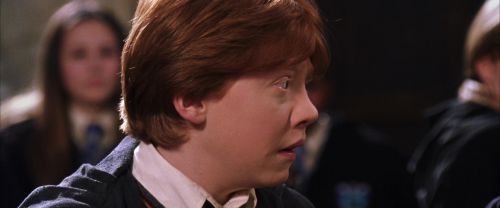 CS-Potterish_02410.jpg