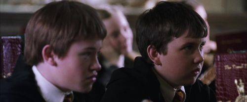CS-Potterish_02456.jpg