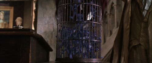 CS-Potterish_02485.jpg