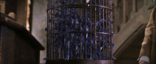 Click to view full size image
==============
CS-Potterish_02486.jpg CS-Potterish_02486.jpg