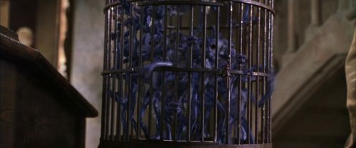 Click to view full size image
==============
CS-Potterish_02487.jpg CS-Potterish_02487.jpg