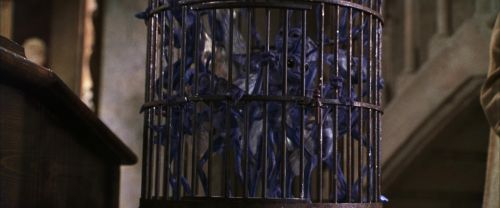 CS-Potterish_02488.jpg