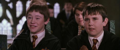 CS-Potterish_02491.jpg