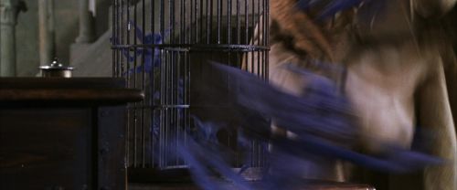 Click to view full size image
==============
CS-Potterish_02508.jpg CS-Potterish_02508.jpg
