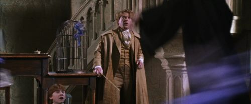CS-Potterish_02522.jpg