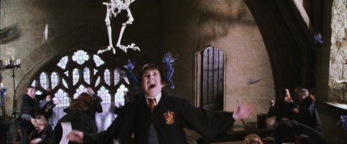 CS-Potterish_02523.jpg