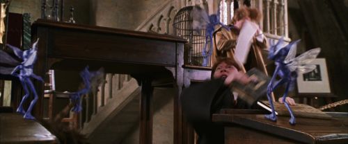 CS-Potterish_02540.jpg
