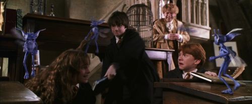 CS-Potterish_02544.jpg