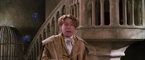 CS-Potterish_02546.jpg