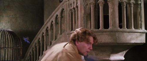 CS-Potterish_02550.jpg