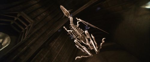 CS-Potterish_02556.jpg