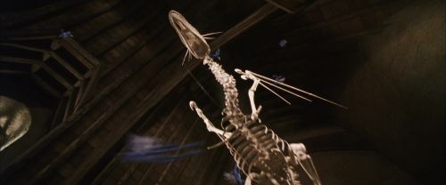 Click to view full size image
==============
CS-Potterish_02557.jpg CS-Potterish_02557.jpg