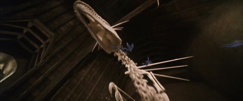 CS-Potterish_02558.jpg