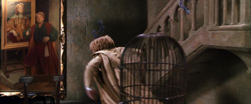 Click to view full size image
==============
CS-Potterish_02563.jpg CS-Potterish_02563.jpg