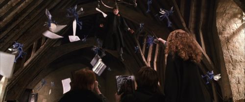 CS-Potterish_02587.jpg