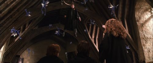 CS-Potterish_02589.jpg
