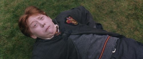 CS-Potterish_02698.jpg