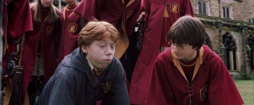 CS-Potterish_02707.jpg