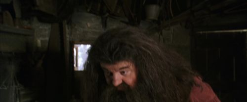 CS-Potterish_02741.jpg