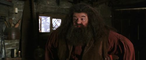 CS-Potterish_02742.jpg