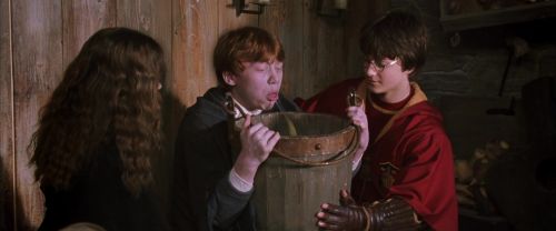CS-Potterish_02746.jpg