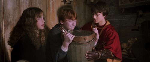 CS-Potterish_02747.jpg