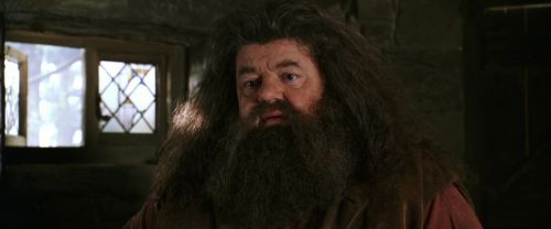 CS-Potterish_02751.jpg