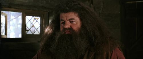CS-Potterish_02752.jpg