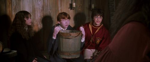 CS-Potterish_02754.jpg