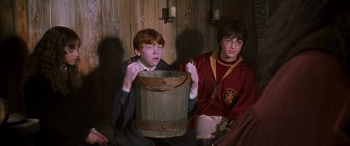 CS-Potterish_02755.jpg