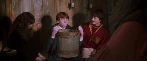 Click to view full size image
==============
CS-Potterish_02756.jpg CS-Potterish_02756.jpg