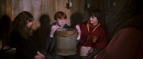 CS-Potterish_02758.jpg