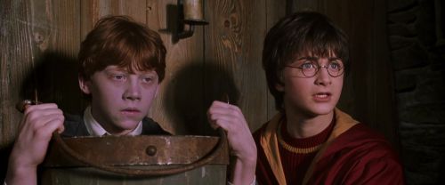 CS-Potterish_02773.jpg
