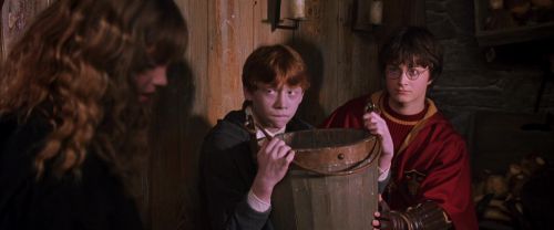 CS-Potterish_02790.jpg