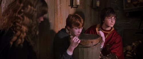 Click to view full size image
==============
CS-Potterish_02792.jpg CS-Potterish_02792.jpg