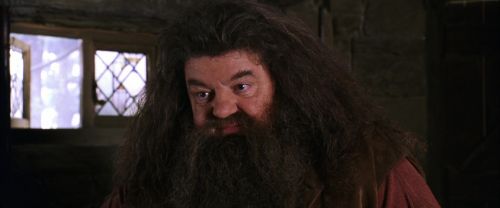 CS-Potterish_02794.jpg
