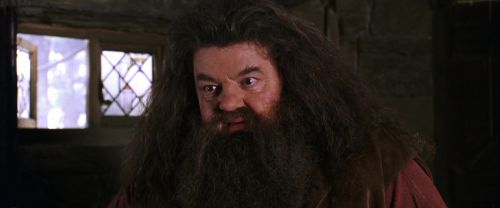 CS-Potterish_02796.jpg