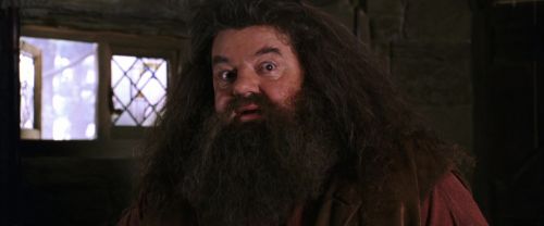 CS-Potterish_02797.jpg