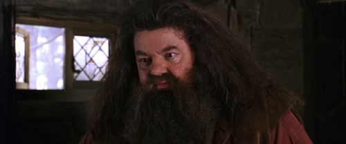 CS-Potterish_02799.jpg