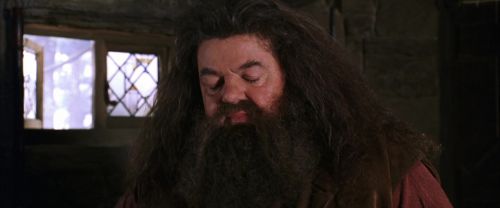 CS-Potterish_02800.jpg