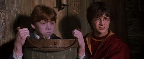 CS-Potterish_02802.jpg