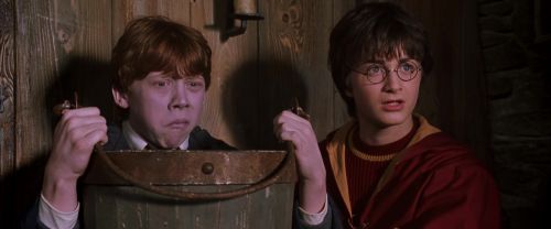 CS-Potterish_02803.jpg