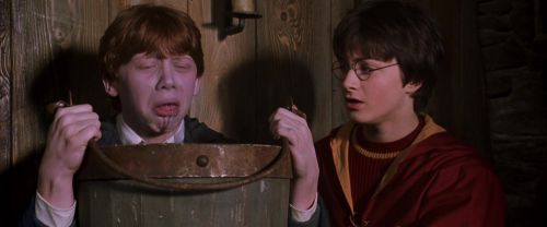 CS-Potterish_02804.jpg