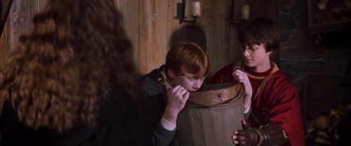 CS-Potterish_02806.jpg