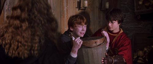 Click to view full size image
==============
CS-Potterish_02808.jpg CS-Potterish_02808.jpg